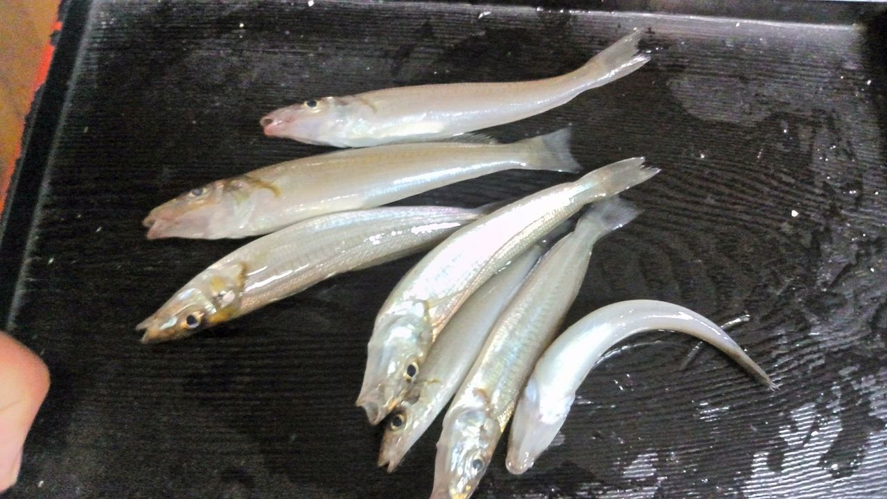 イメージ 2