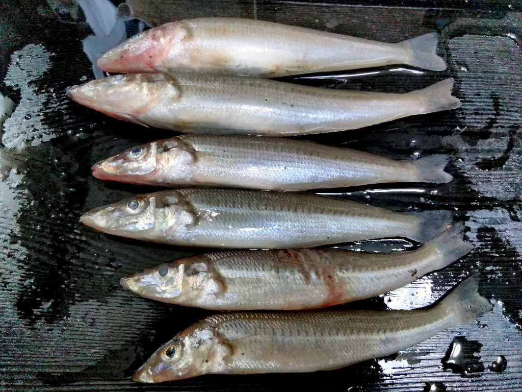 イメージ 3