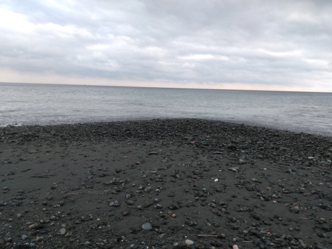 IMG_20191006_131233