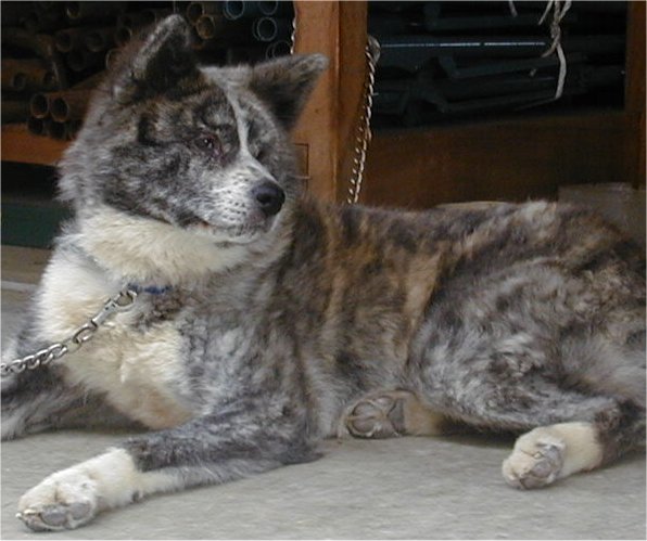 どぉぅぉ ん お地蔵さん