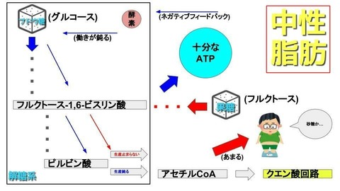 果糖④