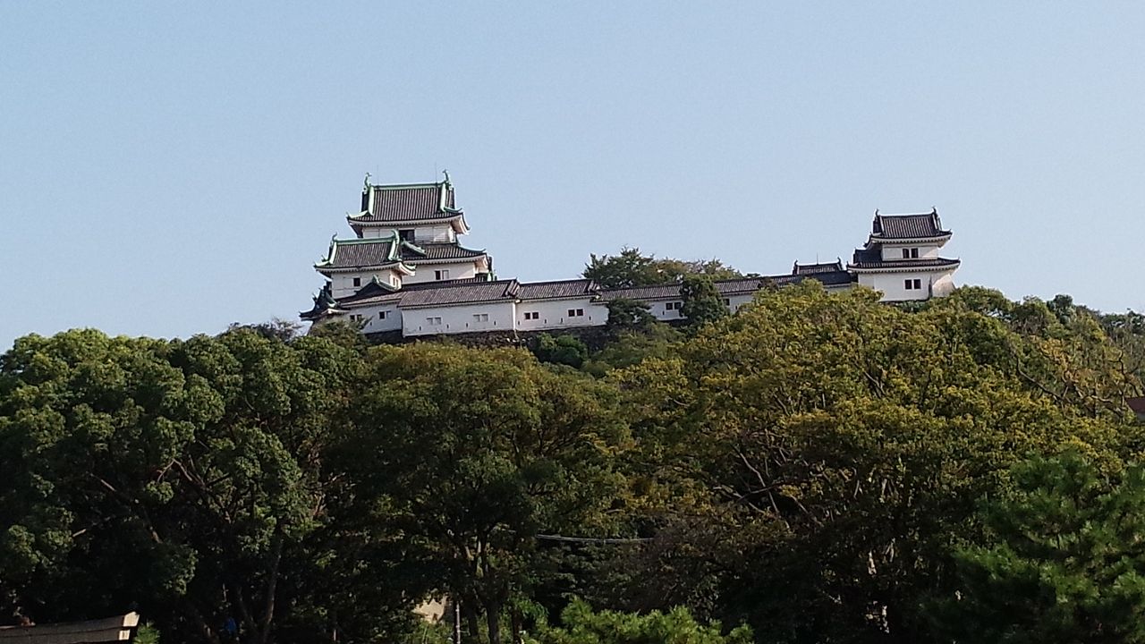 イメージ 2