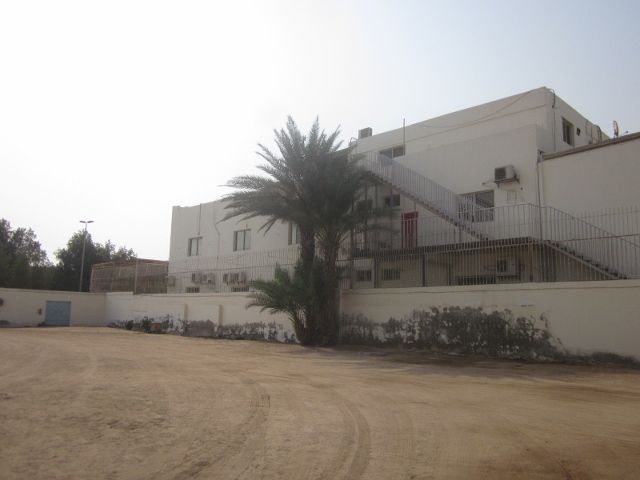 校庭の木の高さを測ってみました Jjs日記