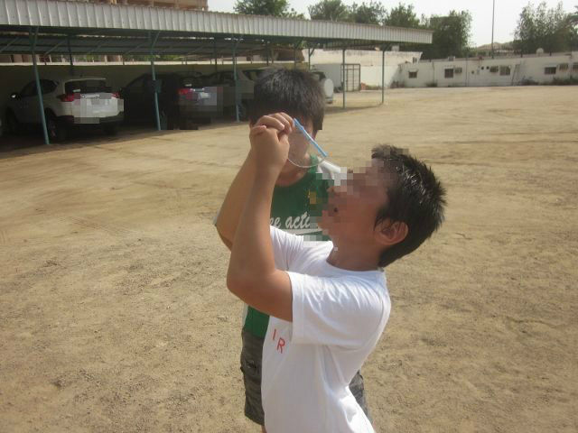 校庭の木の高さを測ってみました Jjs日記