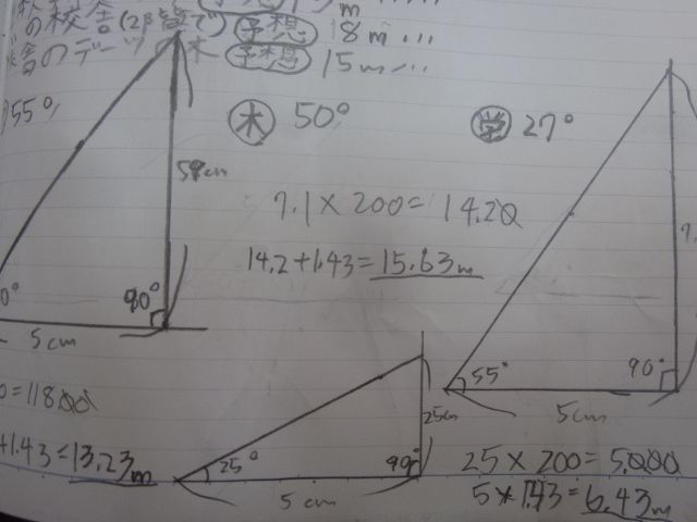 校庭の木の高さを測ってみました Jjs日記