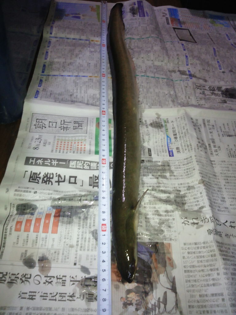 イメージ 2