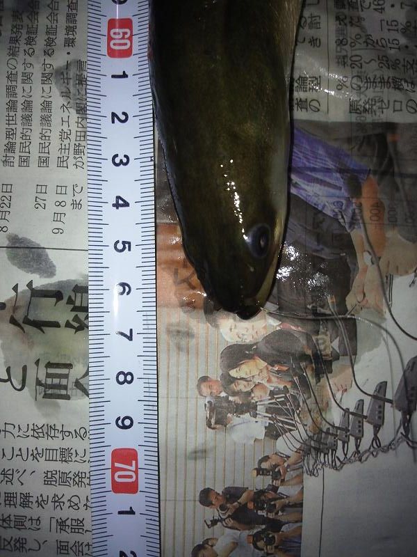 イメージ 3