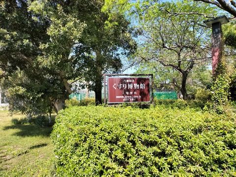 IMG20260411141134
