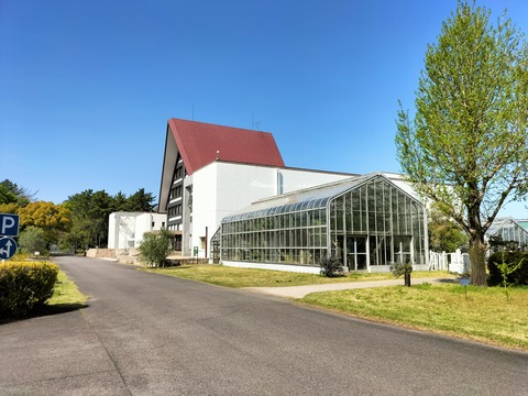 IMG20260411141203