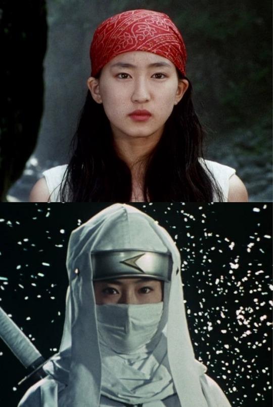 鶴姫 / ニンジャホワイト : ヒーロー &怪獣&怪人