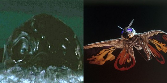 22e11fee-s.jpg
