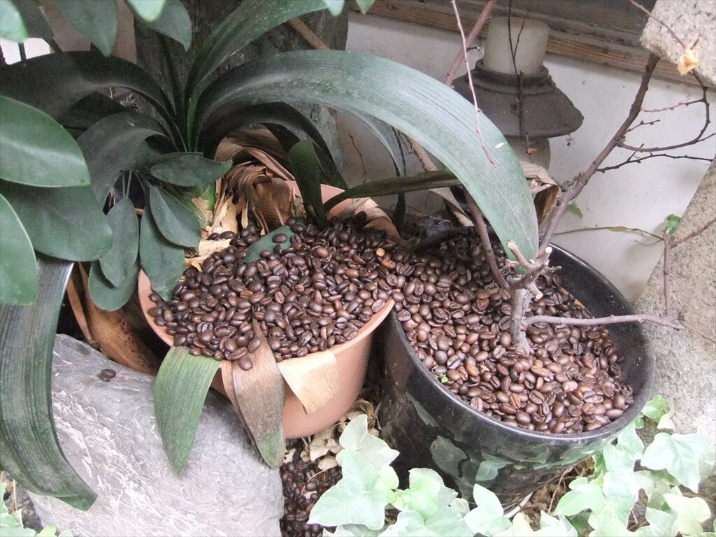 DSCF8006_R