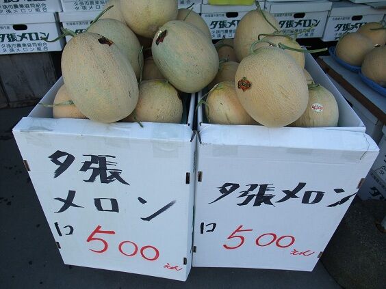 イメージ 3
