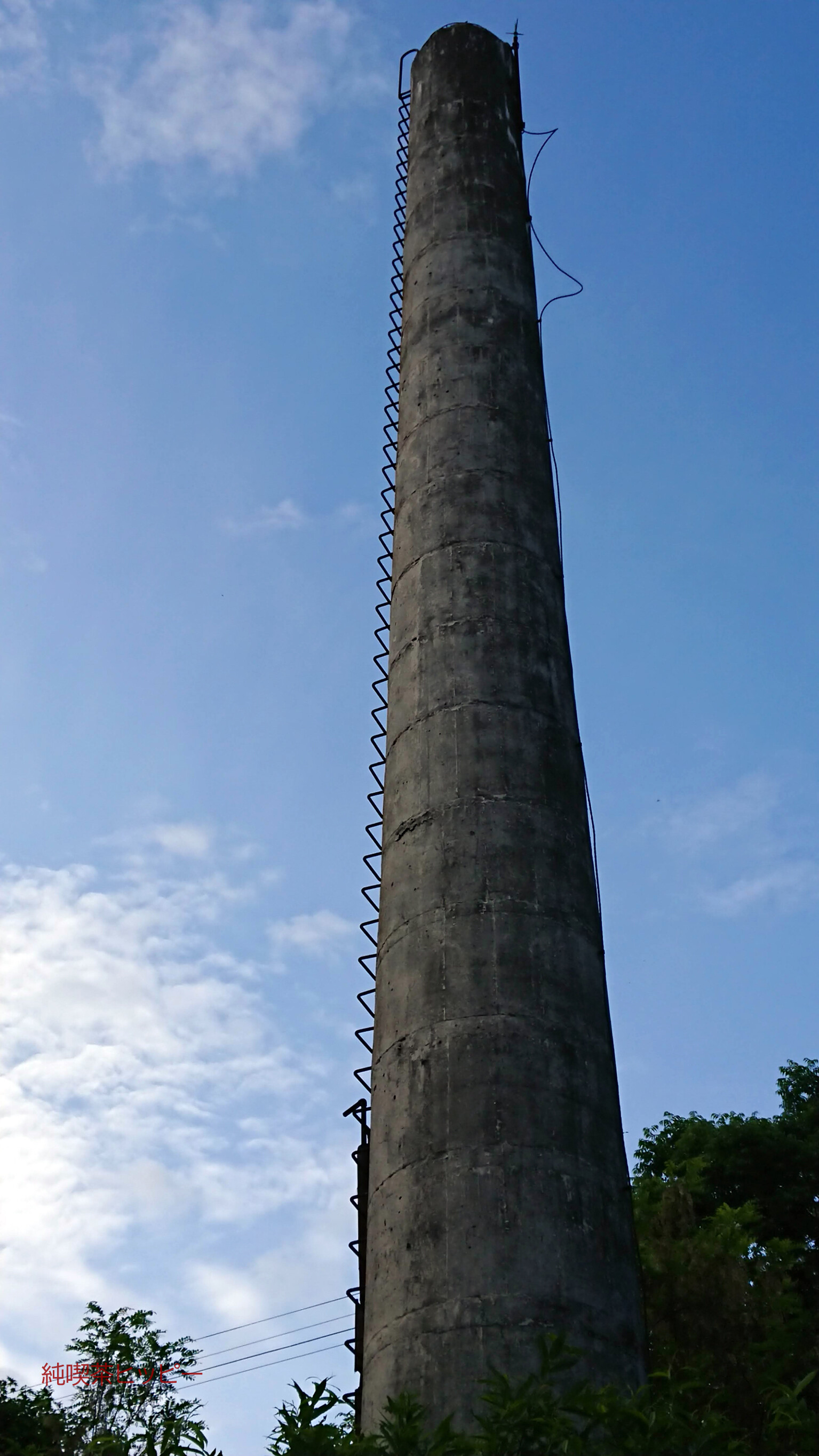 DSCF6930