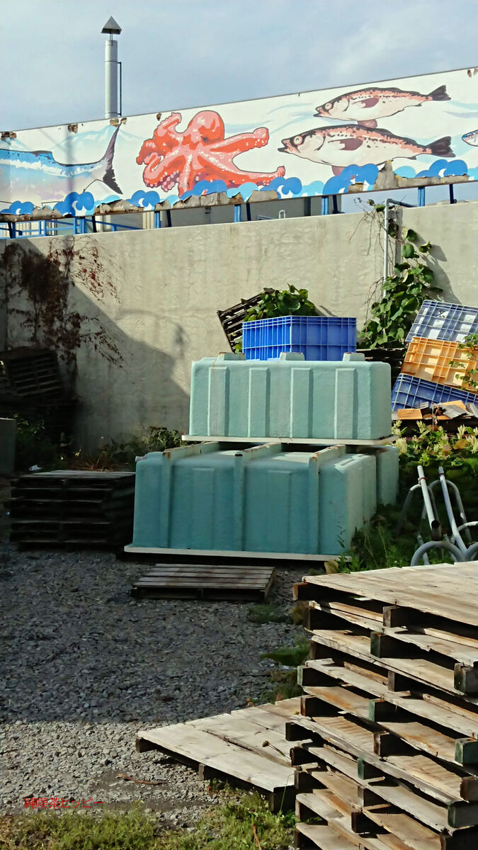 f:id:jkhippie:20191115175540j:plain f:id:jkhippie:20191115175540j:plain