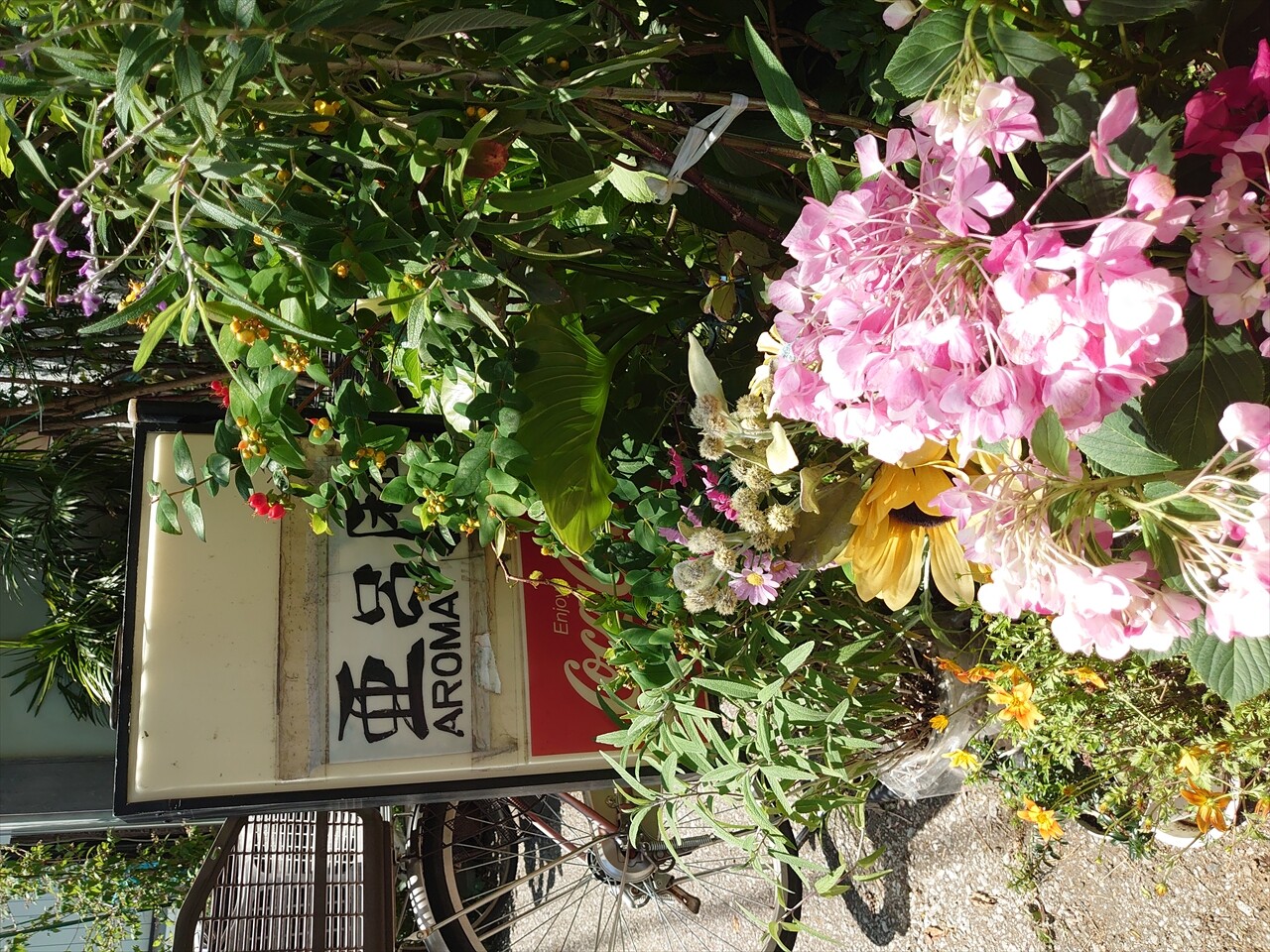 IMG_20240504_130835_R