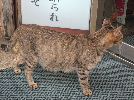 イメージ 3