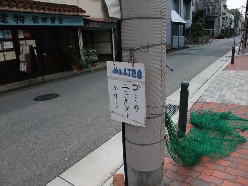 イメージ 9