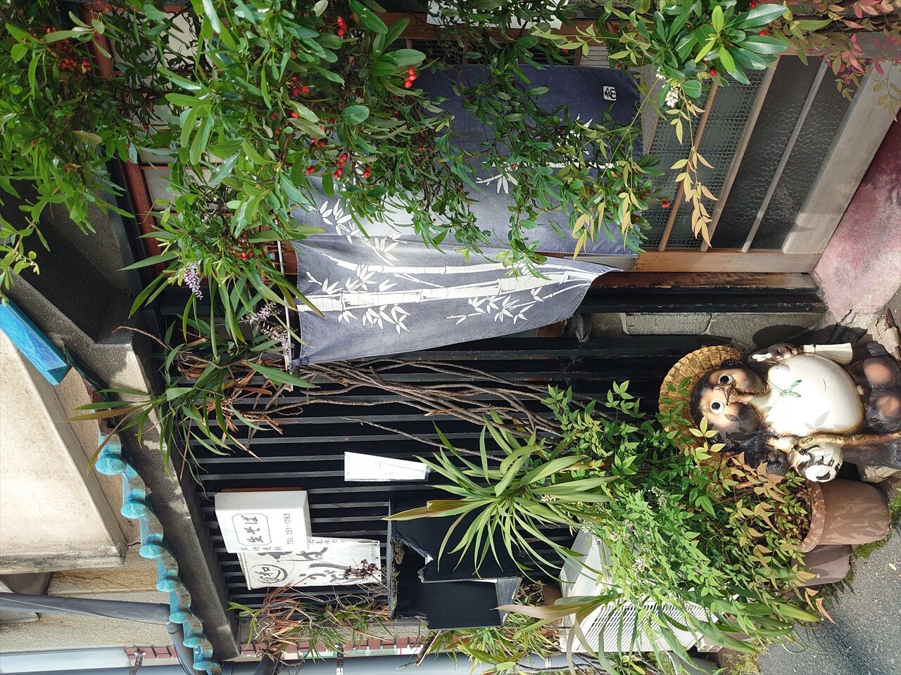 IMG_20240525_100119_R