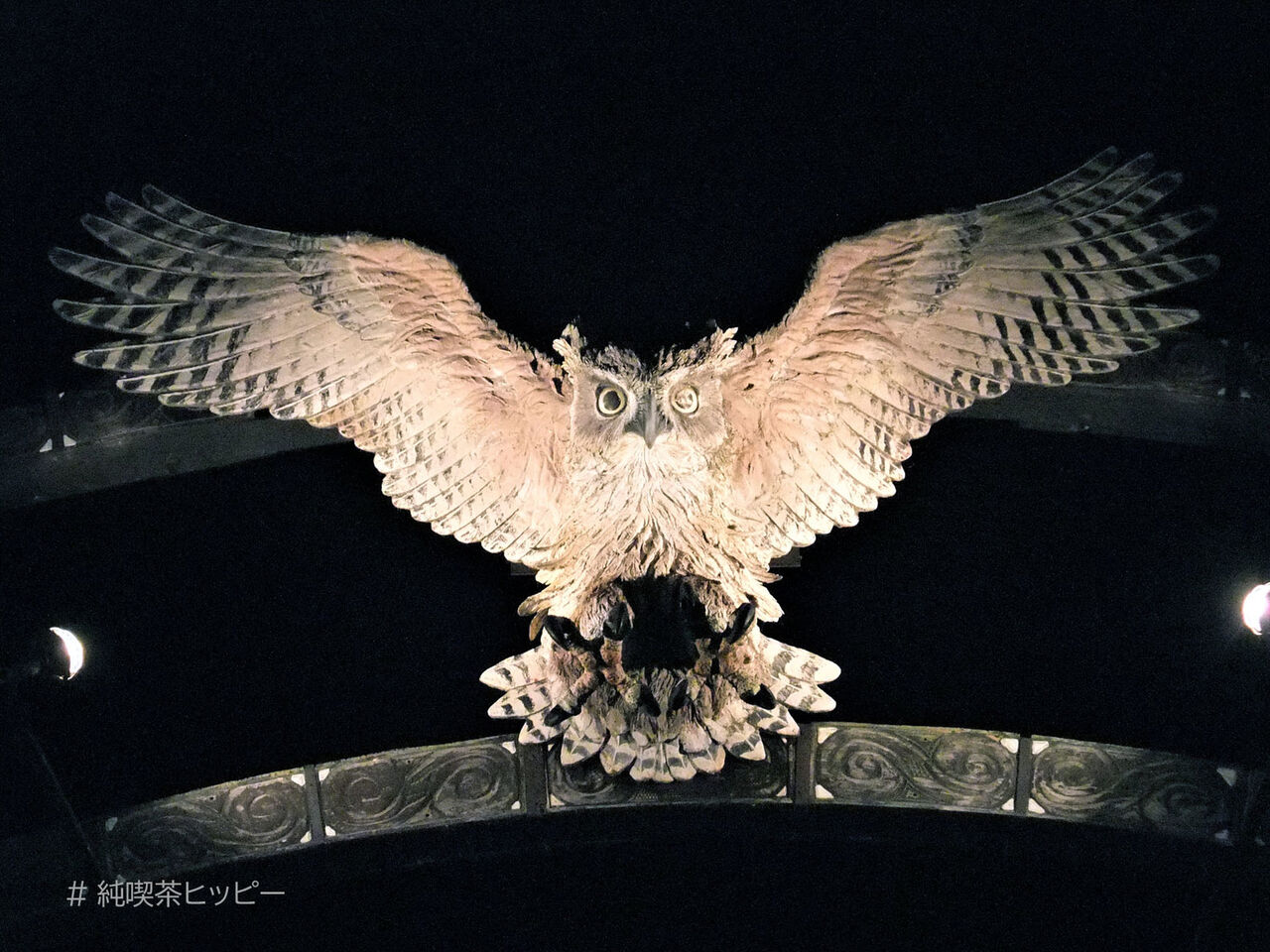 f:id:jkhippie:20200813200710j:plain f:id:jkhippie:20200813200710j:plain