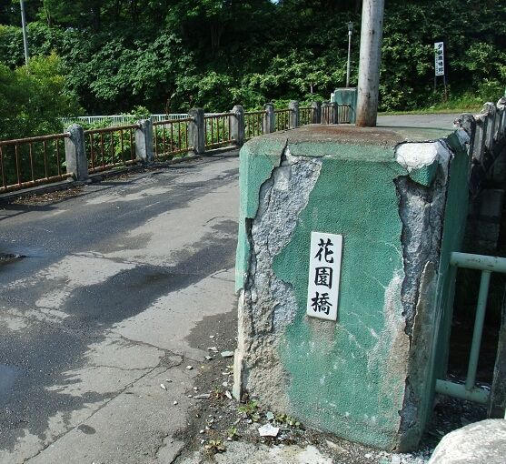 イメージ 11