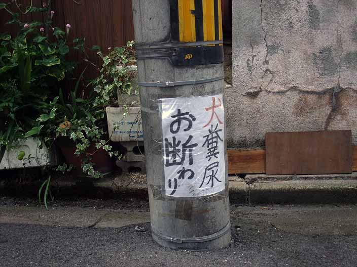 イメージ 11