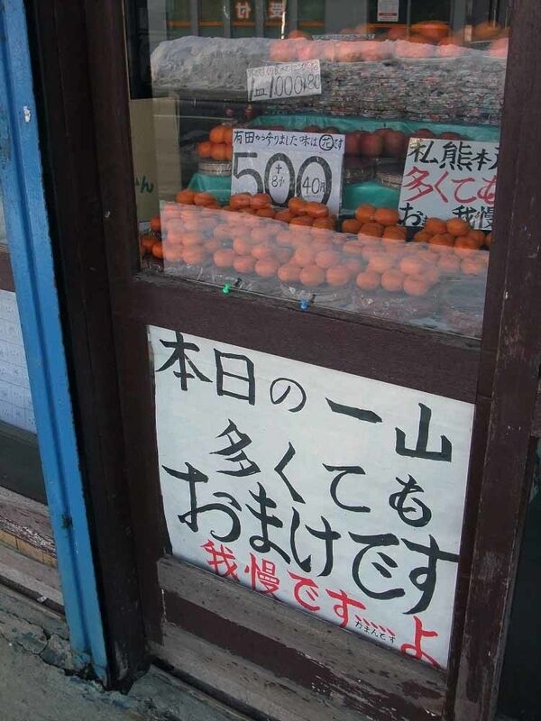 イメージ 11