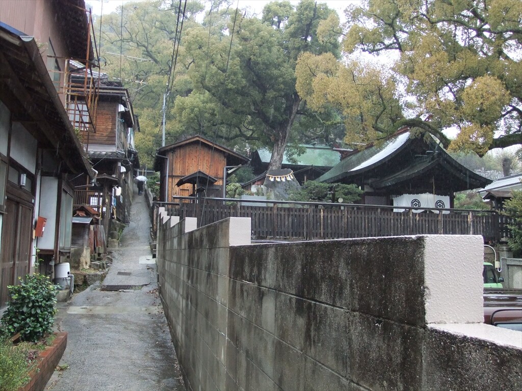 DSCF0241_R