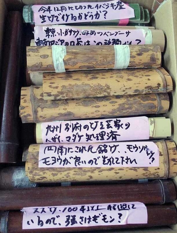 イメージ 12