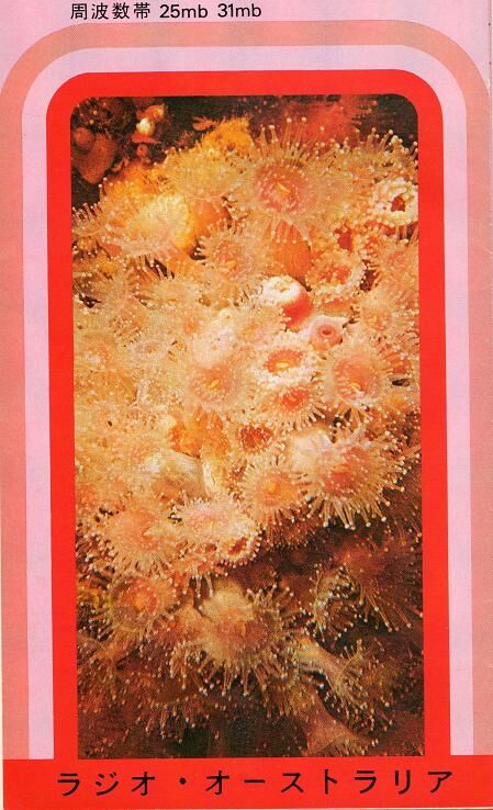 ラジオ オーストラリア 純喫茶ヒッピー Powered By ライブドアブログ