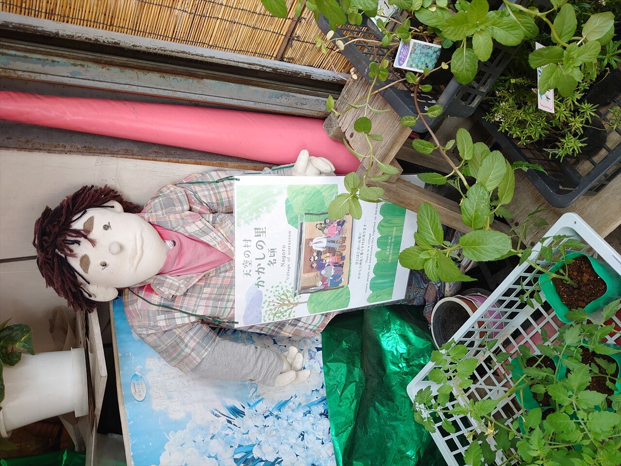 IMG_20240502_145547_R