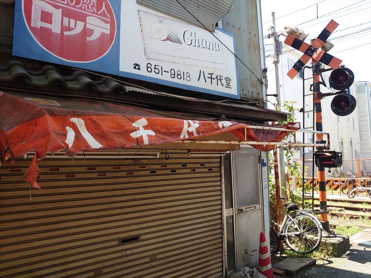 IMG_20240525_115127_R