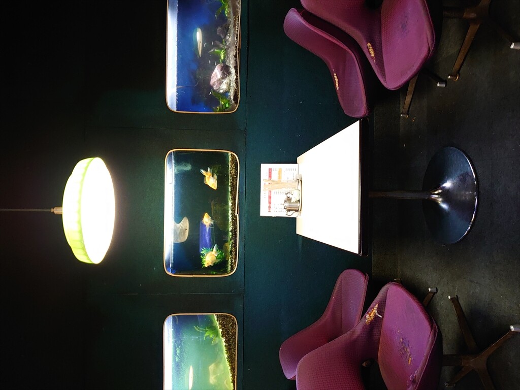 IMG_20240323_171427_R