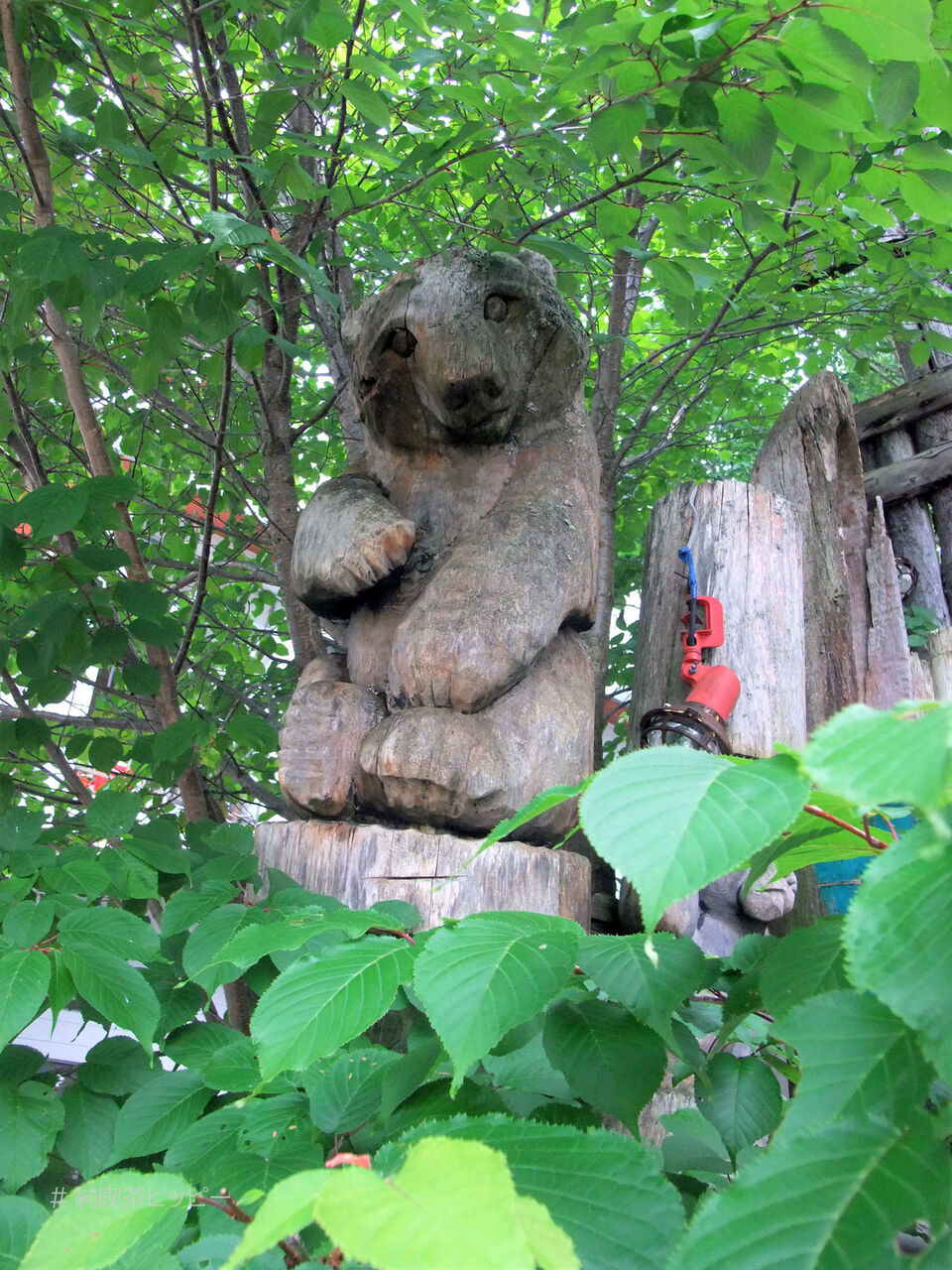 f:id:jkhippie:20200813201229j:plain f:id:jkhippie:20200813201229j:plain