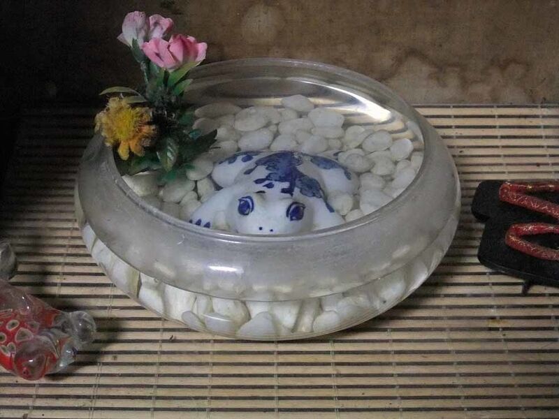 イメージ 16