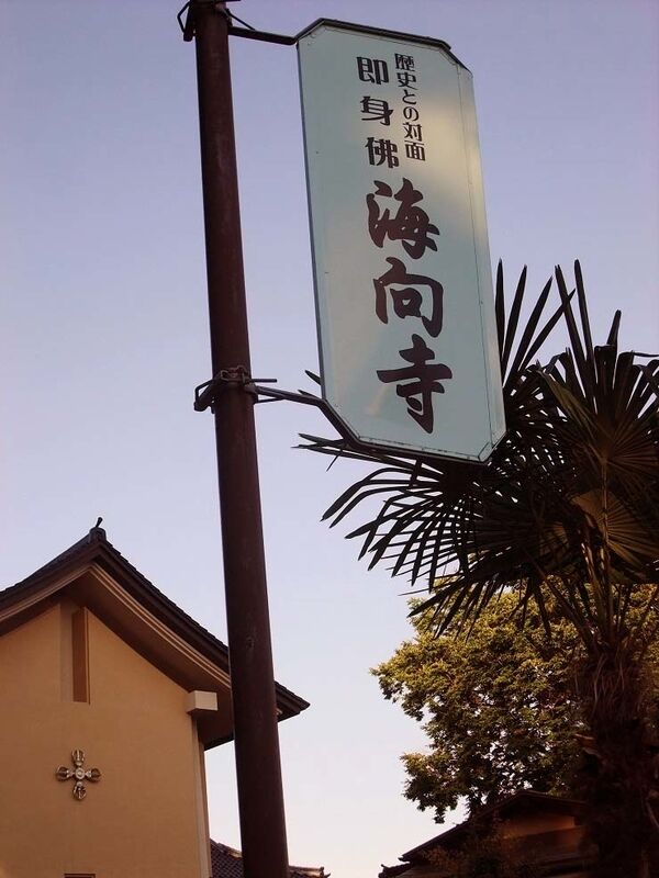 イメージ 7