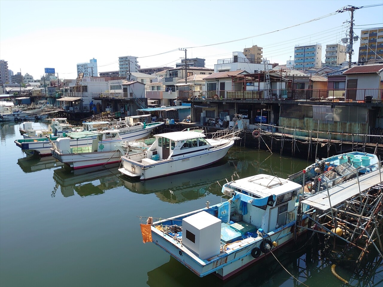 IMG_20240503_135752_R