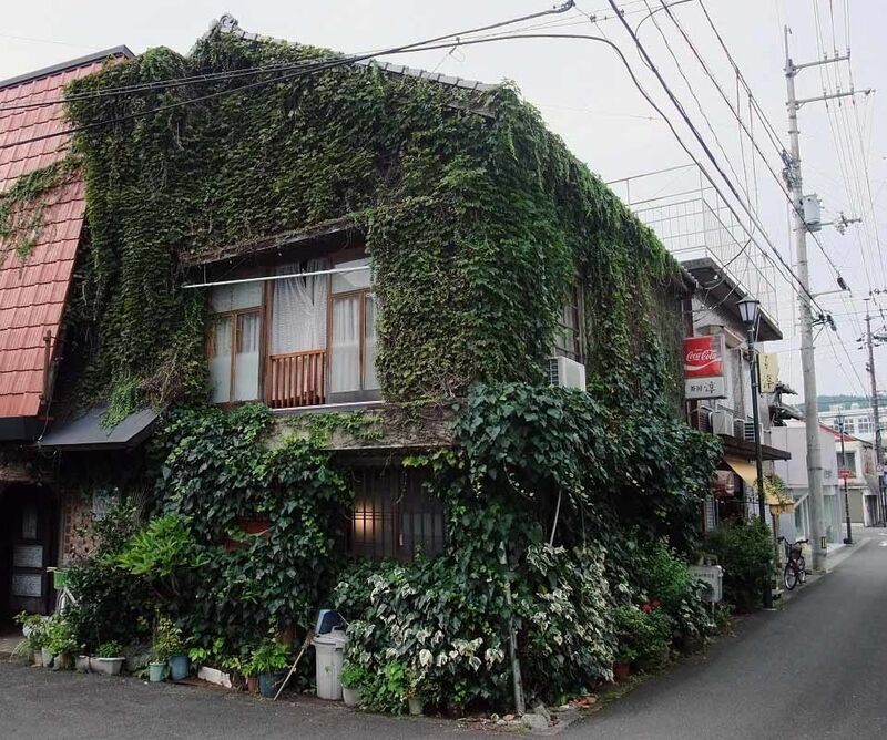 イメージ 5