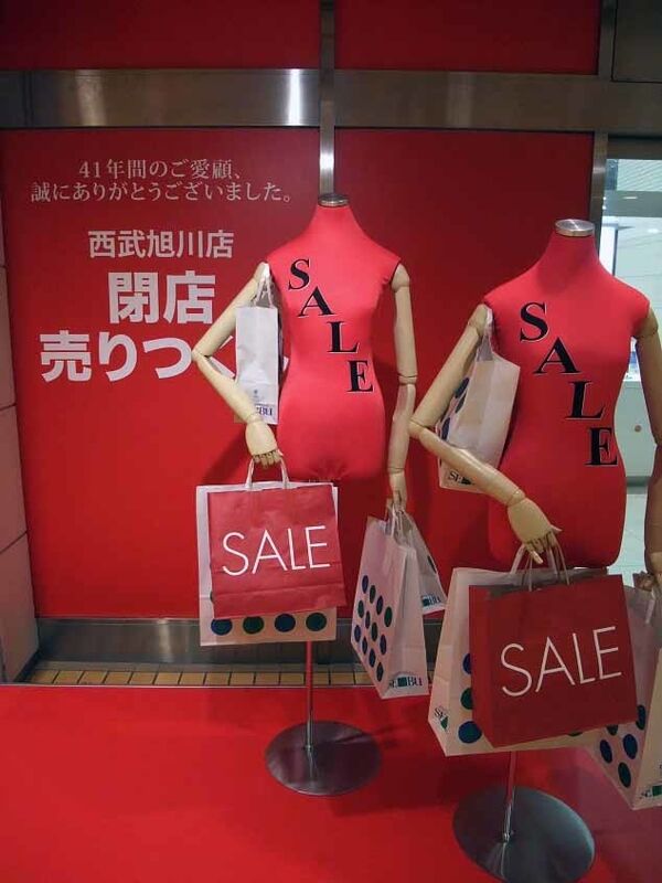 イメージ 6