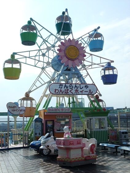 イメージ 8