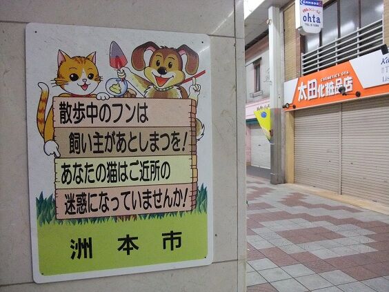 イメージ 9