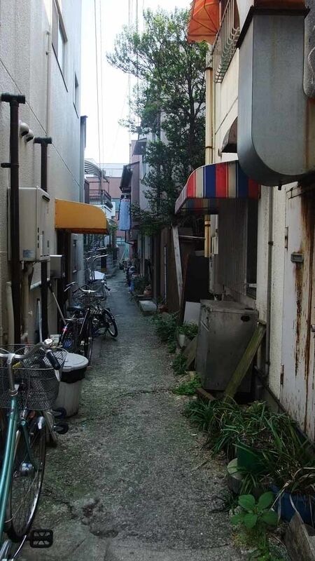 イメージ 9