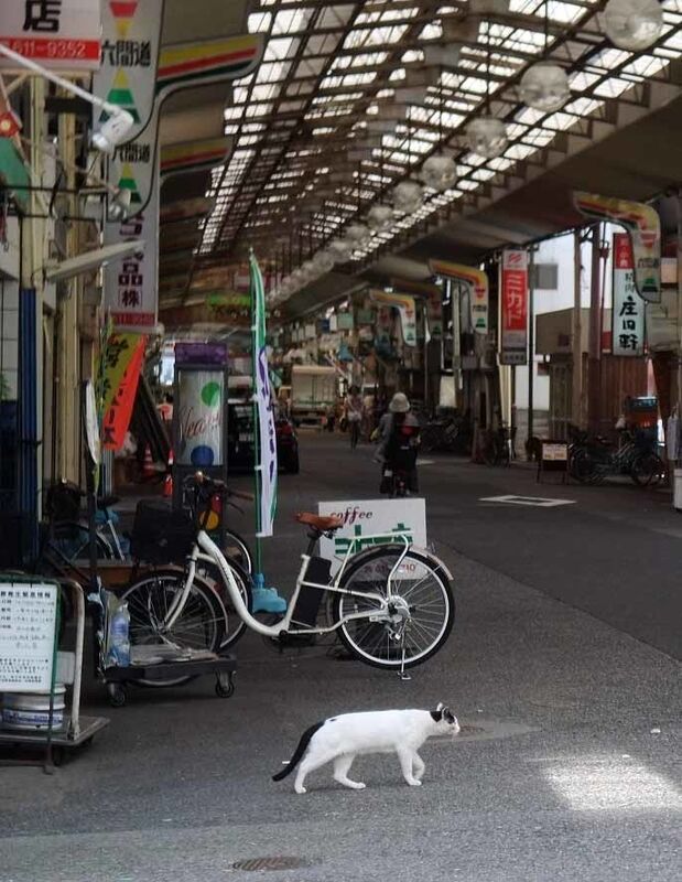 イメージ 9