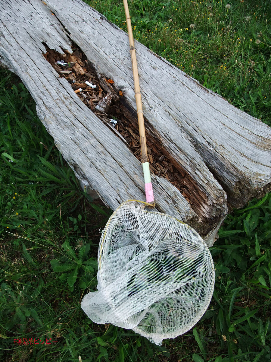 f:id:jkhippie:20191031210805j:plain