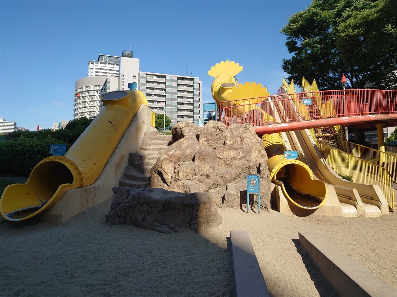 IMG_20240525_080417_R