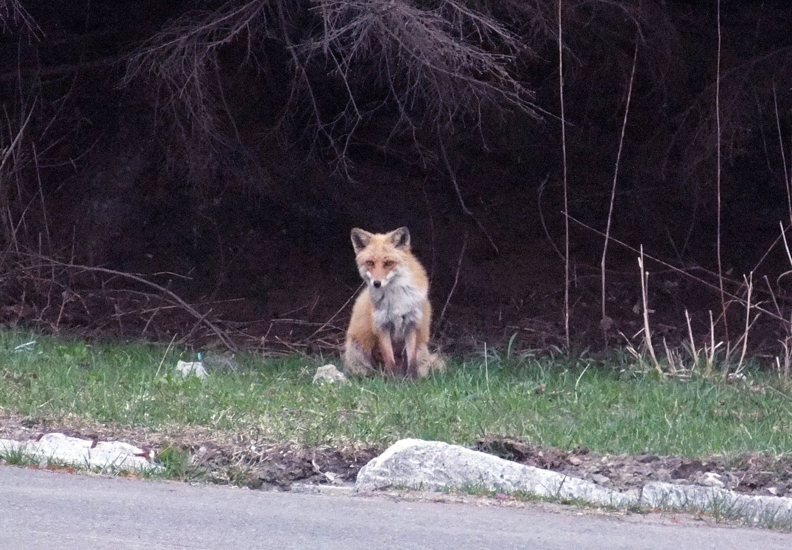DSCF5674