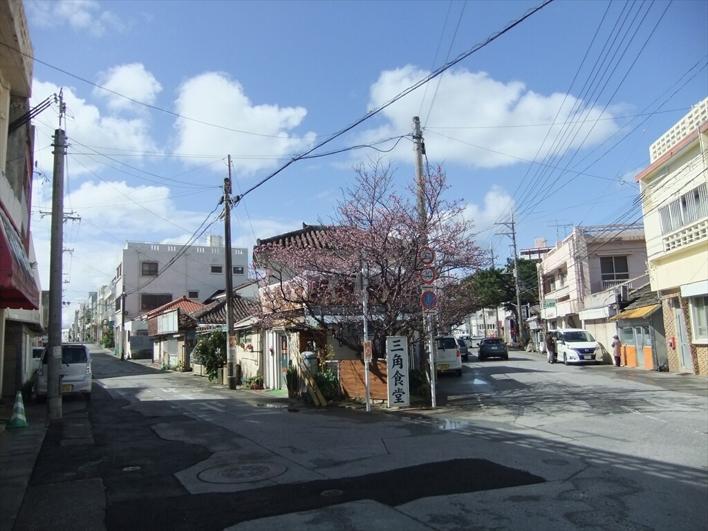 DSCF7454_R