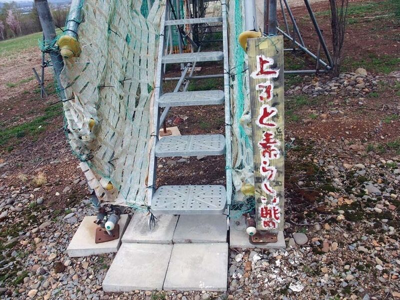 イメージ 9
