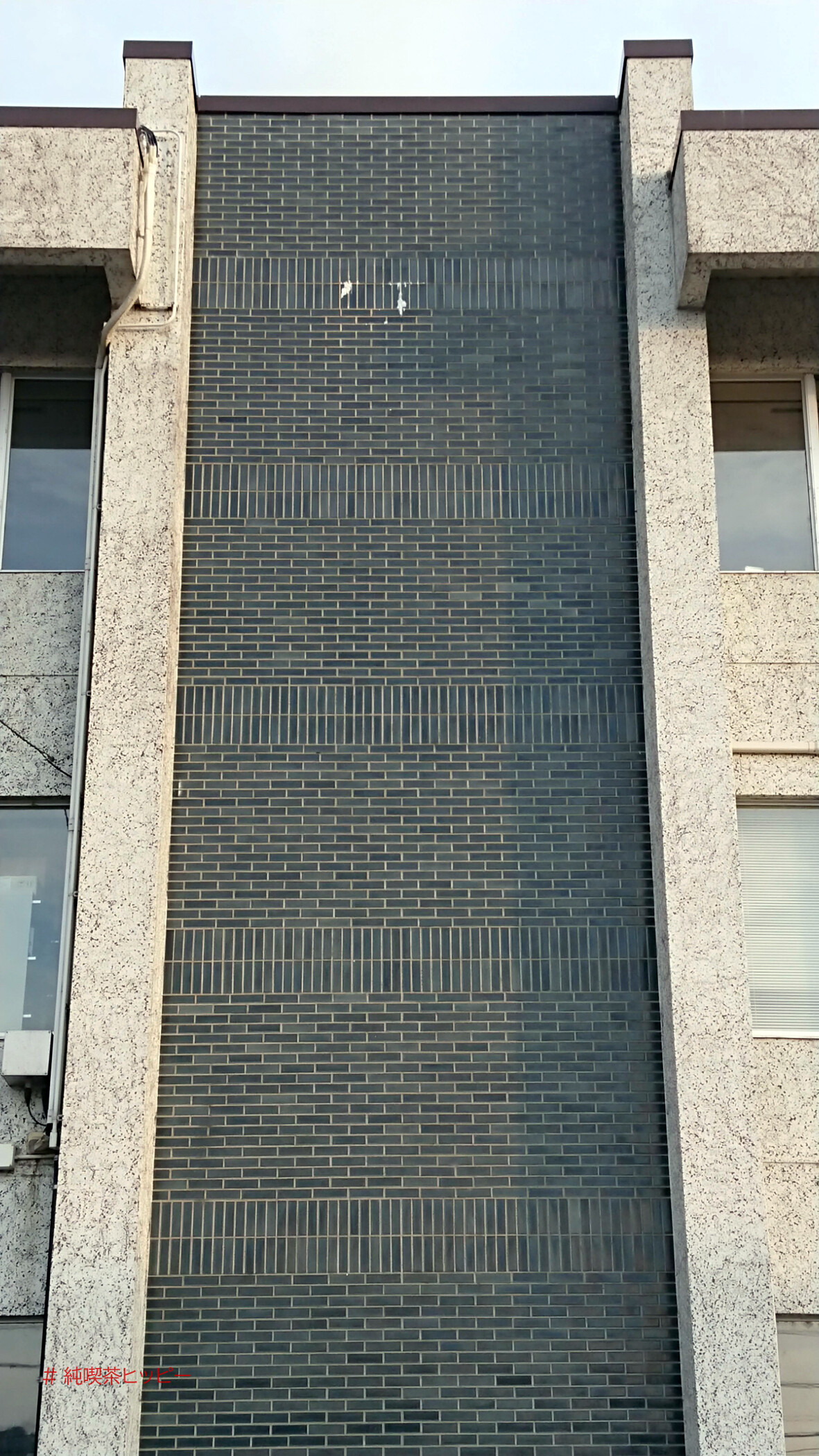 DSC_0333