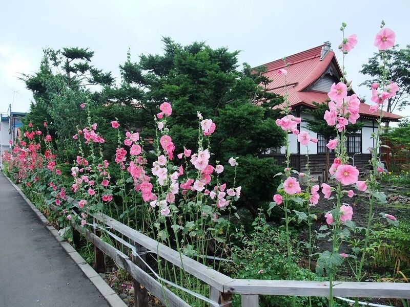 コケコッコー花 純喫茶ヒッピー 1980年から喫茶巡り Powered By ライブドアブログ コケコッコー花 純喫茶ヒッピー 1980年から喫茶巡り Powered By ライブドアブログ